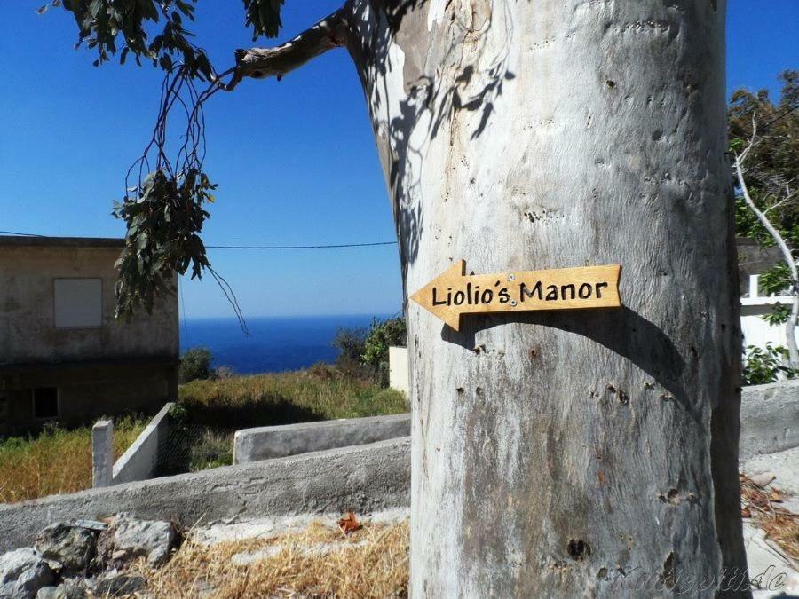 Villa Liolio'S Manor Agalianos Exterior foto